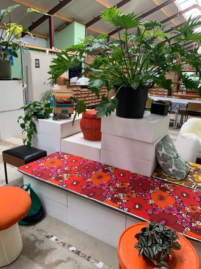 Het Lage Noorden Bed & Breakfast Marrum ภายนอก รูปภาพ