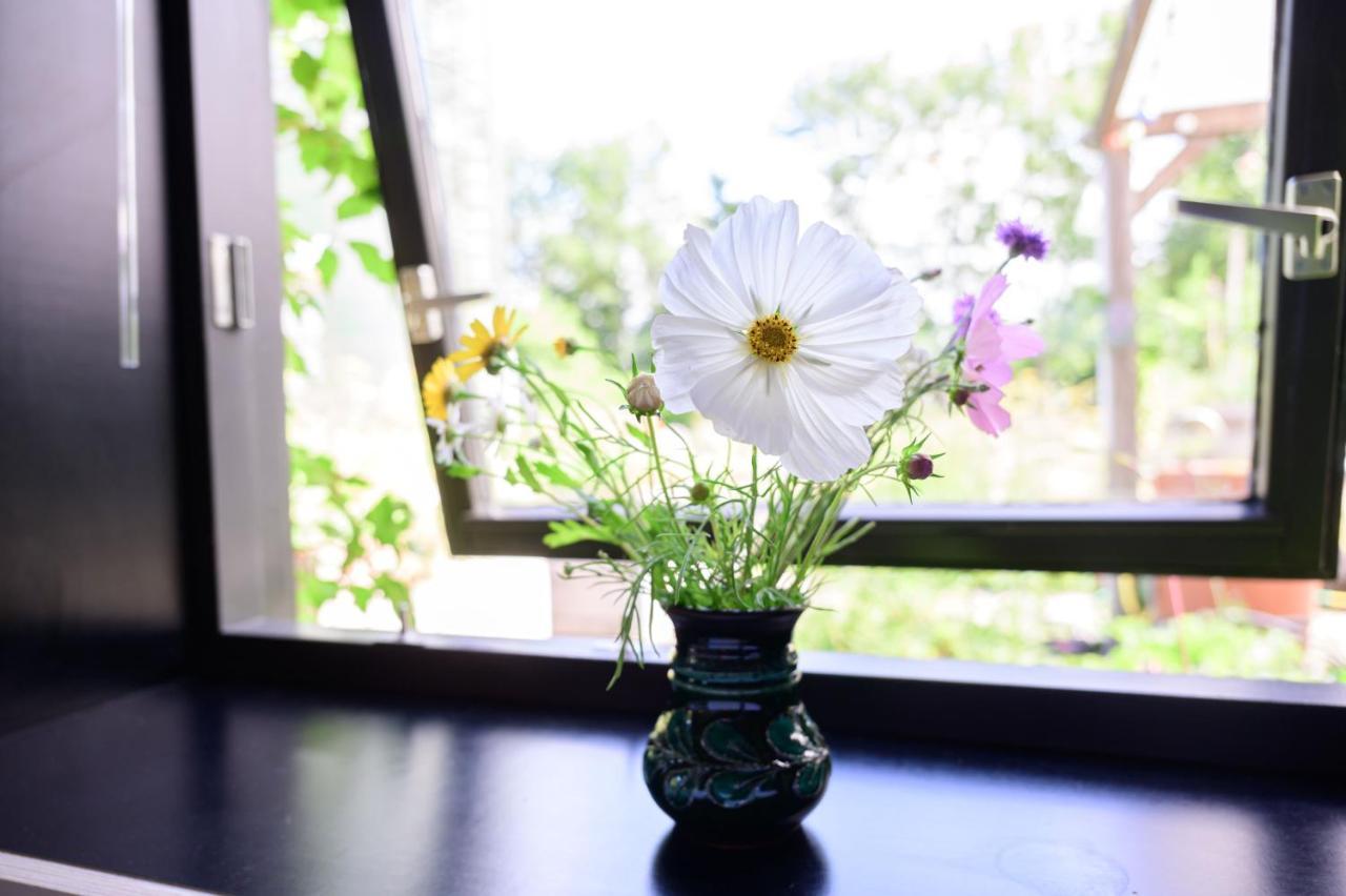 Het Lage Noorden Bed & Breakfast Marrum ภายนอก รูปภาพ